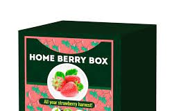Home Berry Box  - onde comprar - funciona - Portugal