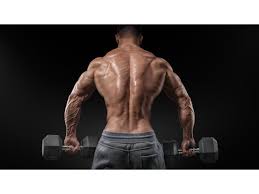 Nitro Strength - muscle supplement - criticas - opiniões - funciona